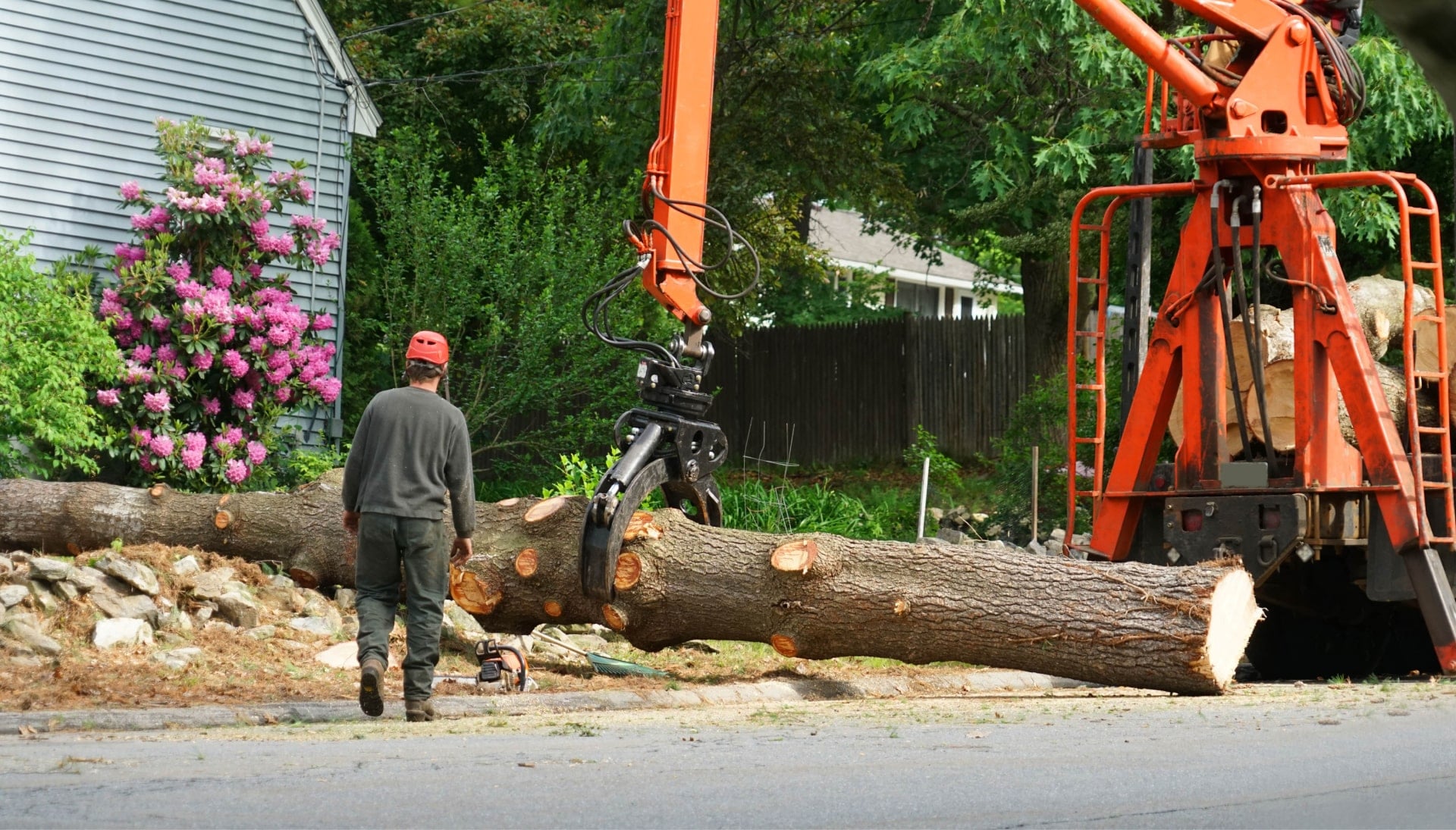 Heavy machinery is used to remove a tree after cutting in Minnetonka, MN.