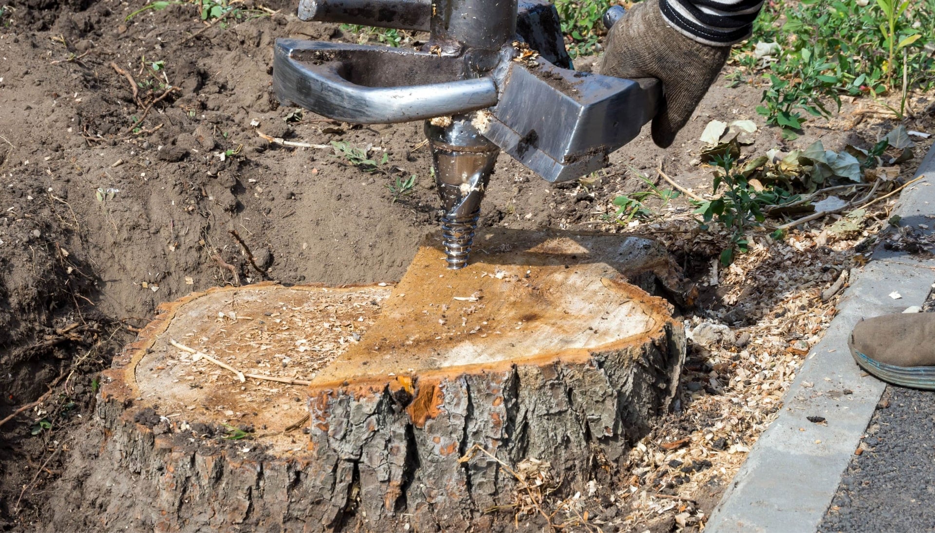A stump grinding machines makes the job easier during tree removal services on a Minnetonka, MN property.